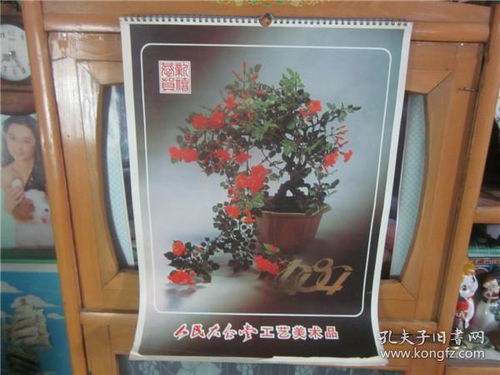 各種紙質(zhì)收藏品專區(qū)